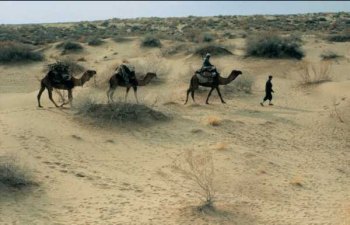 В Туркменистане планируют заняться озеленением пустыни