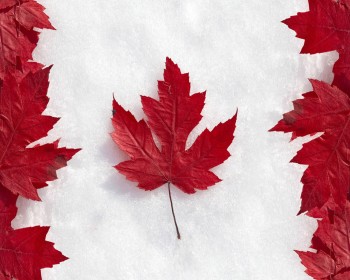 Канада: Правительство введет визу для стартапов