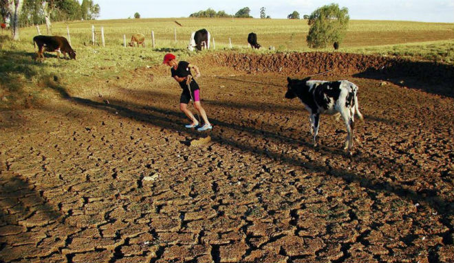 Новая Зеландия столкнулась с сильнейшей за 30 лет засухой