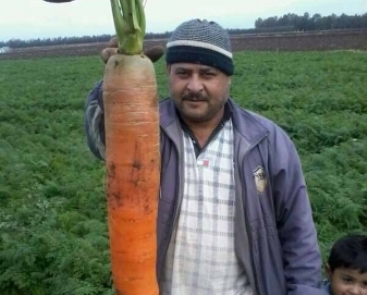 В Ливане мэр города вырастил рекордную морковь