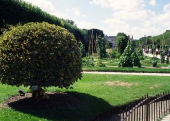 Франция: Перед мэрией в Париже развернули ботанический сад