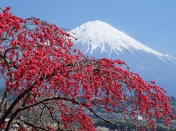 Япония: Гора Фудзи пополнила список Всемирного наследия ЮНЕСКО