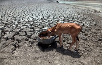 Намибия страдает из-за сильной засухи