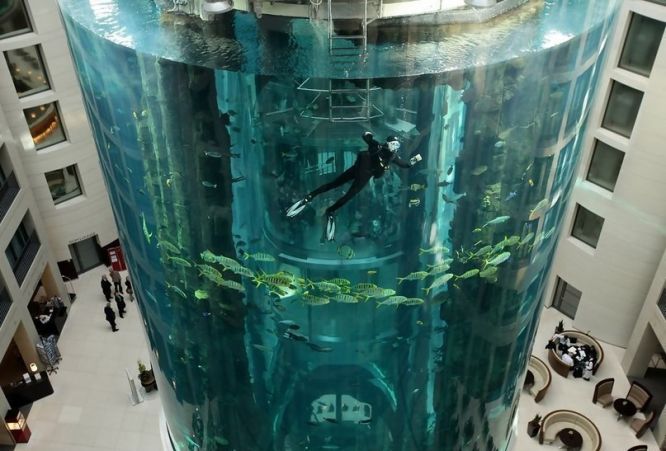 АкваДом (AquaDom) - самый большой в мире аквариум, Берлин, Германия