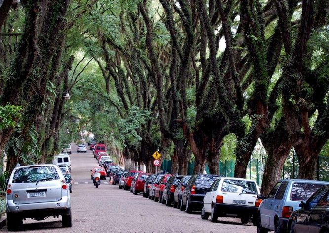 Зеленая улица Руа-Гонсалу-де-Карвальо (Rua Goncalo de Carvalho), Бразилия