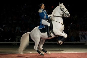 Австрия: В Штирии ждут на празднике лошадей