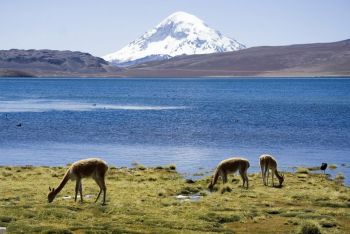 Боливия: Открыт новый туристический маршрут Pacha Trek