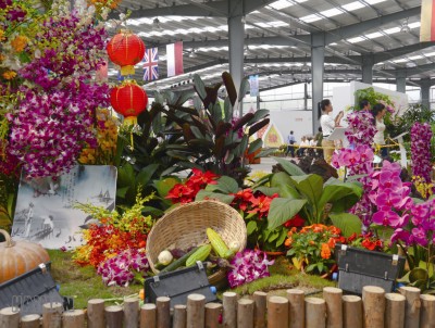 Китай: В Санье состоится фестиваль орхидей