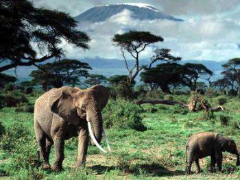 Танзания займется агрессивным маркетингом в сфере туризма