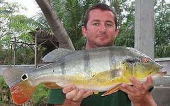 Гайана: Рыба защищена от негативного воздействия аквакультуры