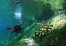Зелёное озеро (Gruner See) - озеро-парк в Австрии
