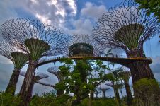 Огромные искусственные деревья в саду "Gardens by the Bay", Сингапур