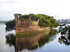Заброшенное судно SS Ayrfield: корабль - плавающий мангровый лес (Сидней, Австралия)