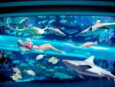 Отель Золотой самородок (Golden Nugget Hotel) с водной горкой в аквариуме с акулами, Лас-Вегас, США